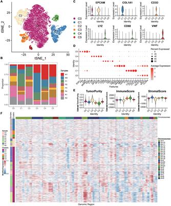 Single-Cell RNA-Sequencing Portraying Functional Diversity and Clinical Implications of IFI6 in Ovarian Cancer